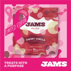 Cherry Vanilla Limited Edition Gummies | 100mg 10pk
